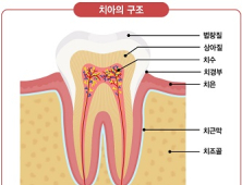 갑자기 찾아온 치통 [건강 나침반] 