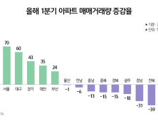 아파트 거래량 양극화…대도시 늘고 중소도시는 반토막