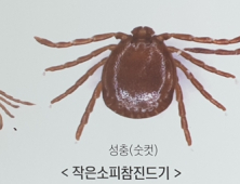 함양서 올해 첫 SFTS 환자 발생…예방수칙 준수 당부[함양소식]