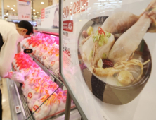 “오늘 초복인데”…닭고기 가격, 전년比 10% ↑
