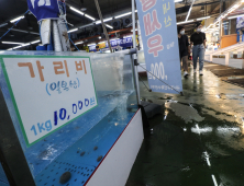 日 어패류 수입 석달 연속↓ …맥주는 수입액 1위 ‘탈환’