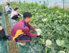 함안군, 하반기 외국인 계절근로자 입국 시작