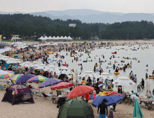 양양군, 지역 해수욕장 21곳 수질 안전 ‘이상 무’