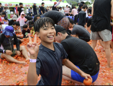 [포토] 횡성 둔내고랭지토마토축제 인파