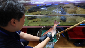 수산물 가격, 아직 잠잠하지만…수산업계 “대책 요구”