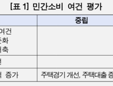 가계대출 급등, 식료품 물가 상승…한은 “저소득층 부담 확대”