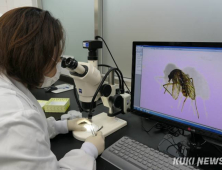 어떤 모기 잡았는지 ‘AI’가 알려준다…“방역 활용 확대”