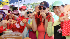 함양군, 제8회 지리산함양 백전오미자축제 16일 개막