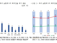 보험사 해외 진출 활성화하려면…“자금 조달 규제 완화 필요”