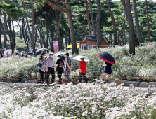 “기차타고 정읍 구절초꽃축제 보고 농촌체험도 함께해요”