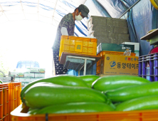 화천군, 고품질 쌀 및 농특산물 생산비용 지원… 택배비 등 70%