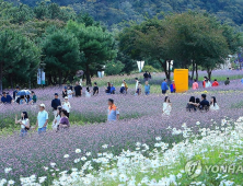 불꽃축제·핼러윈 등 가을철 축제 인파 관리 대폭 강화