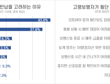 “교통사고 불안감” 고령운전자 10명 중 3명 면허 반납 고려