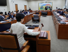 홍원식 하이투자증권 대표, ‘PF 꺾기’ 관련 국감 증인 채택