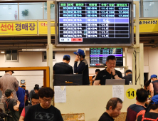 “오염수 방류, 영향 없네요” 노량진수산시장 새벽경매 현장