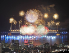 “배달 안돼요” 100만 몰리는 여의도 불꽃축제 ‘이것’ 확인하세요