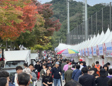 [포토] 횡성한우축제 '북적북적'