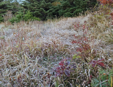 지리산국립공원 주 능선에 올해 첫 서리