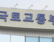 국토부, 16일부터 한달간 불법 자동차 집중 단속