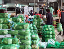 김장철 코 앞…‘금값’ 배추 가격 한 달 새 20% 뛰어