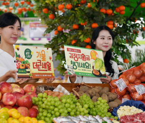 “살맛나는 가을 더 큰 세일!” 농협유통 통합 2주년