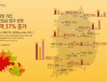 “단풍 절정기, 내장산 상권 매출액 235%↑…설악산 외부 방문 가장多”