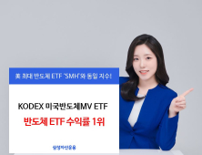 삼성자산, KODEX 미국반도체MV, 반도체 ETF 수익률 1위 外 삼성화재·핏펫 [쿡경제]