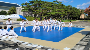 국립전주박물관, 전북도태권도협회 ‘2023 명품 태권도 공연’ 선보인다