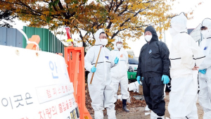 파주시, 10월 30일까지 럼피스킨병 백신 접종 완료