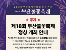 비 예보에도 '부산불꽃축제' 정상 개최…100만 인파 예상 행안부 안전관리 상황 점검