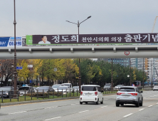 정치인들 현수막, 천안서 왕복8차로 육교까지 점령