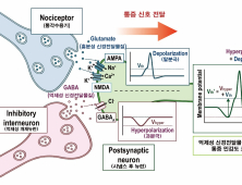 카이스트, 통증 느끼고 조절하는 뉴로모픽 반도체 소자 개발