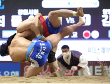 인제군, 주말 스포츠대회 잇따라… 지역 상경기 한몫