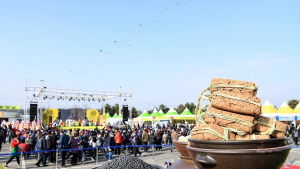 제27회 파주장단콩축제, 24~26일 임진각광장에서 열린다.