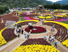 인제가을꽃축제, 393억원 지역경제효과 올려