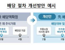 금감원, 배당절차 정관 개정…‘배당액 알고 투자 가능해’