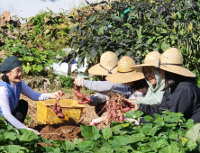 강진군문화관광재단, 2023 한국 관광의 별 선정