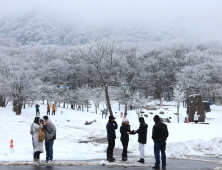 한라산은 '은빛 천국' 