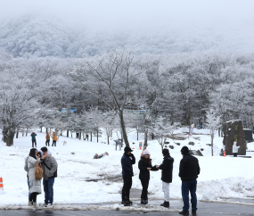 한라산은 '은빛 천국' 