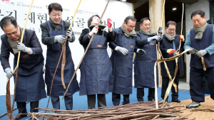 전주산(産) 닥나무로 고품질 전주한지 생산