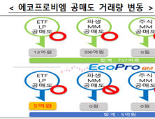 금감원 “공매도 금지 후 공매도 거래 증가? 사실 아냐”