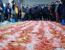 살 오른 울진 대게 '지금이 제철' [포토뉴스]