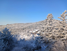 지리산에 펼쳐진 아름다운 설경 [포토뉴스]