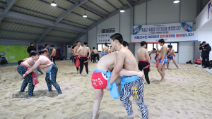임실군, 씨름 전지훈련지로 각광