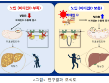 “노화로 인한 지방간, ‘이것’으로 예방”