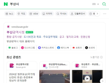 네이버에서 '부산시' '부산시청' 검색하면...'공공정보 한눈에'