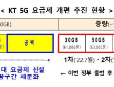 KT 3만원대 5G 요금제 신설…요금할인 시 2만원대 가능