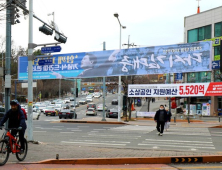 대전시, 정당현수막 일제 점검…위반시 철거 등 강제집행