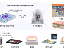 뼈 재생 속도 촉진하는 ‘뼈 반창고’ 기술 개발