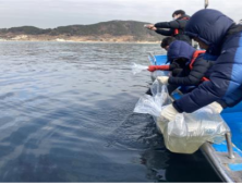 가덕도 인근 해역에 어린 대구 200만 마리 방류 예정